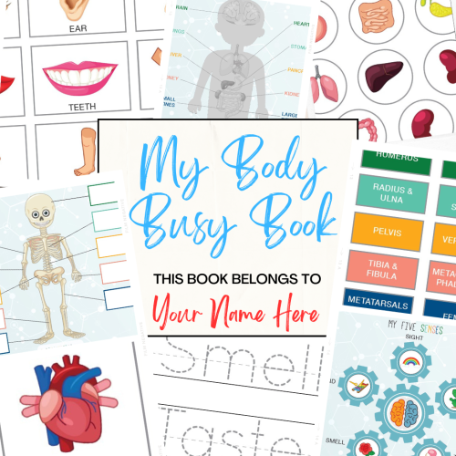 My Body Busy Book:  Spiral Bound Activity Workbook (17 pages)