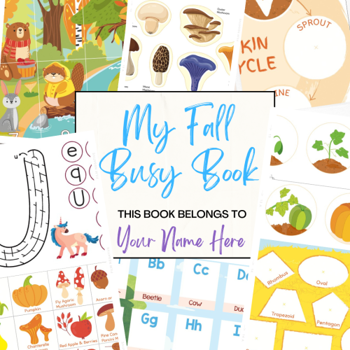 My Fall Busy Book: Spiral Activity Workbook (17 pages)